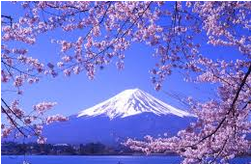 Mt Fuji in spring